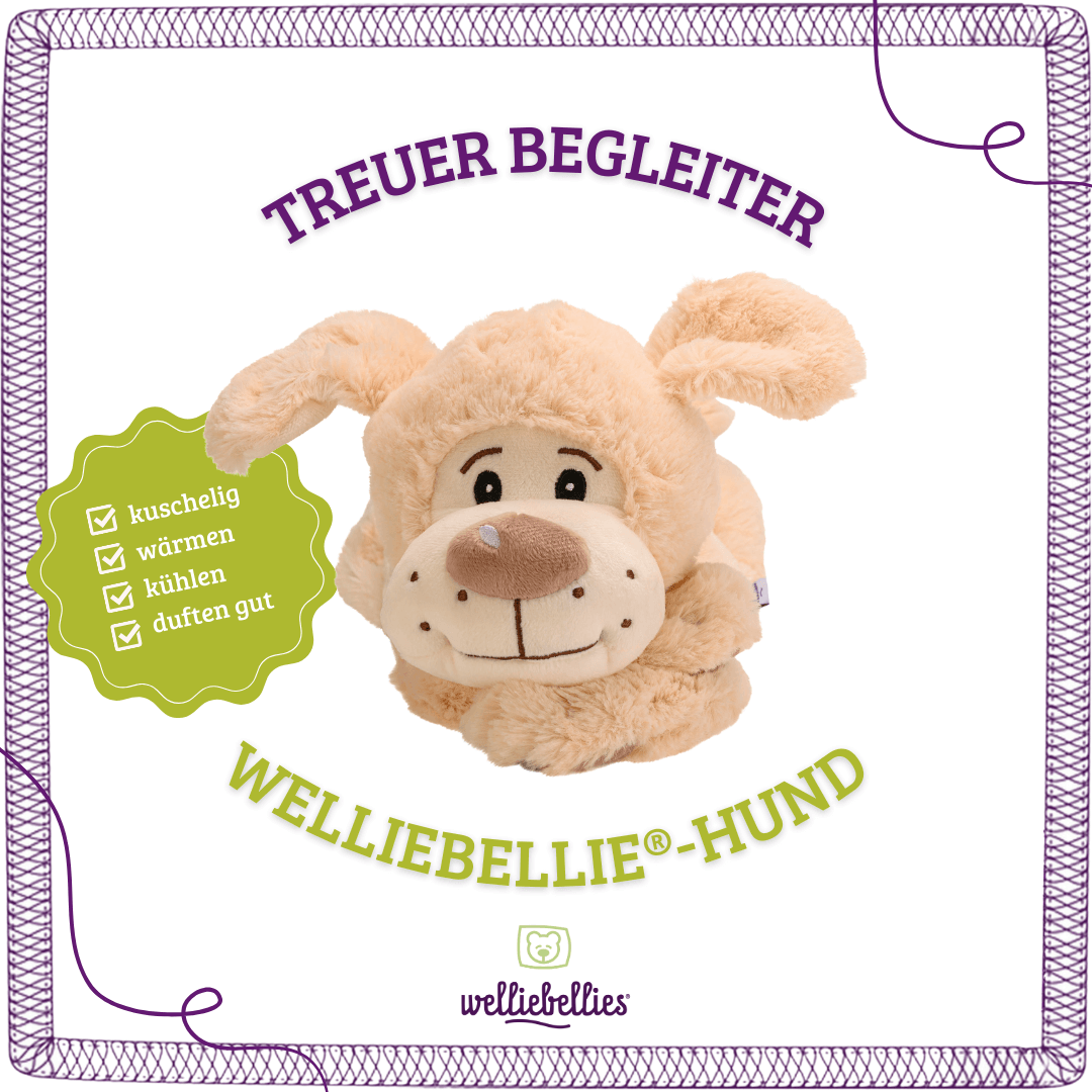 Kuscheliger Waermekuschel-Hund: waermen, kuehlen, mit beruhigendem Duft.