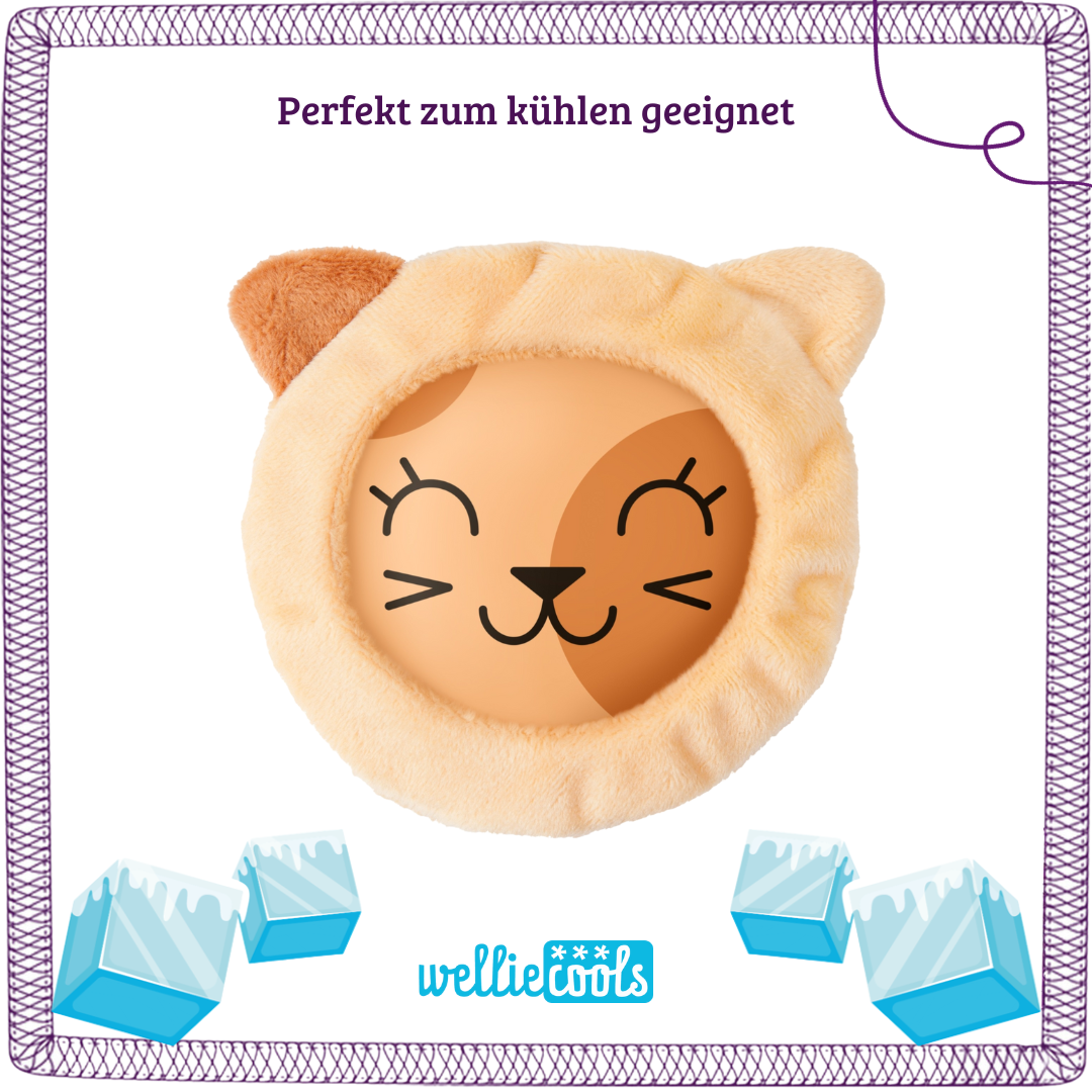 Katzen Liebhaber 😻🐈.