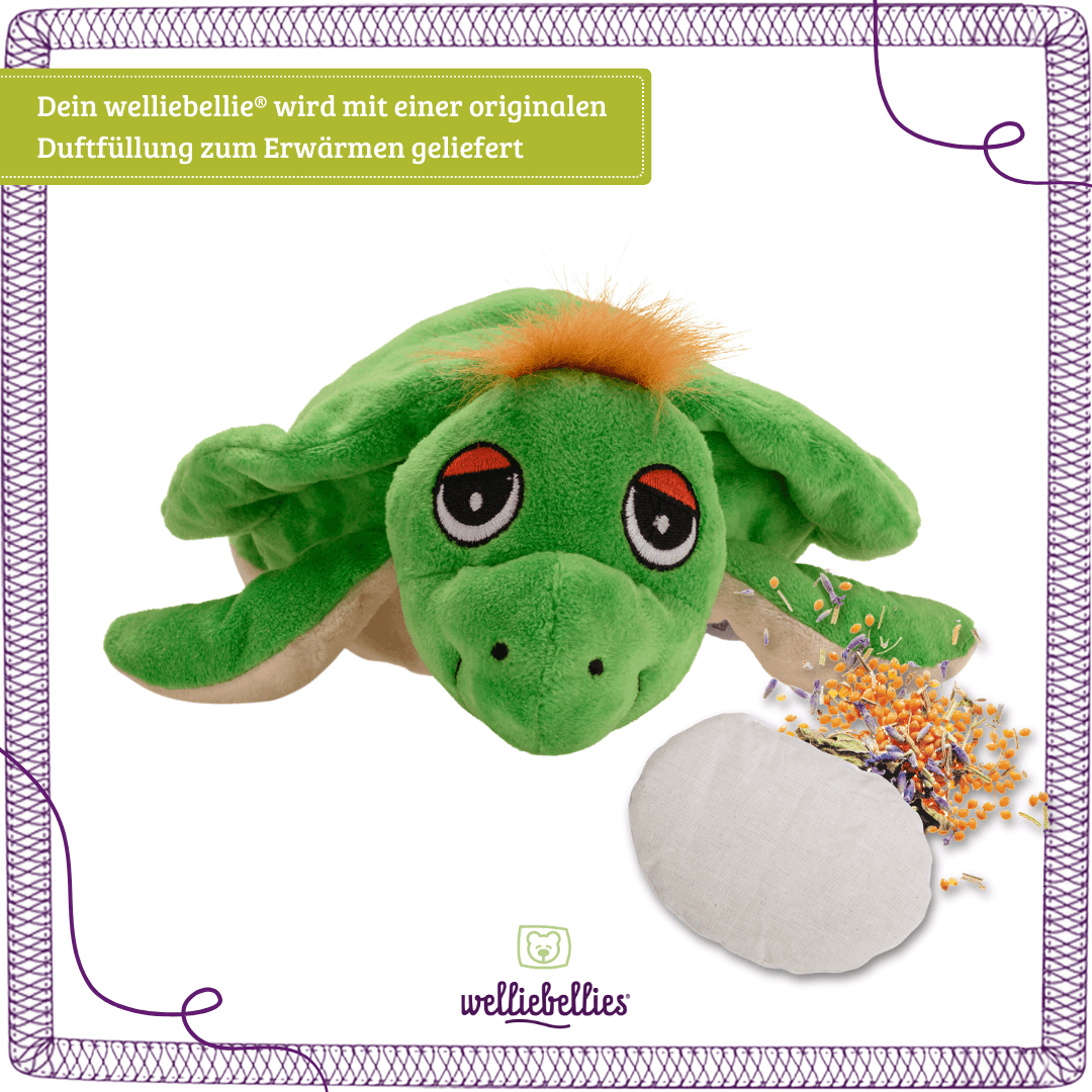Schildkröte mit Bio-Hirse, Lavendel und Rosmarin-Füllung.