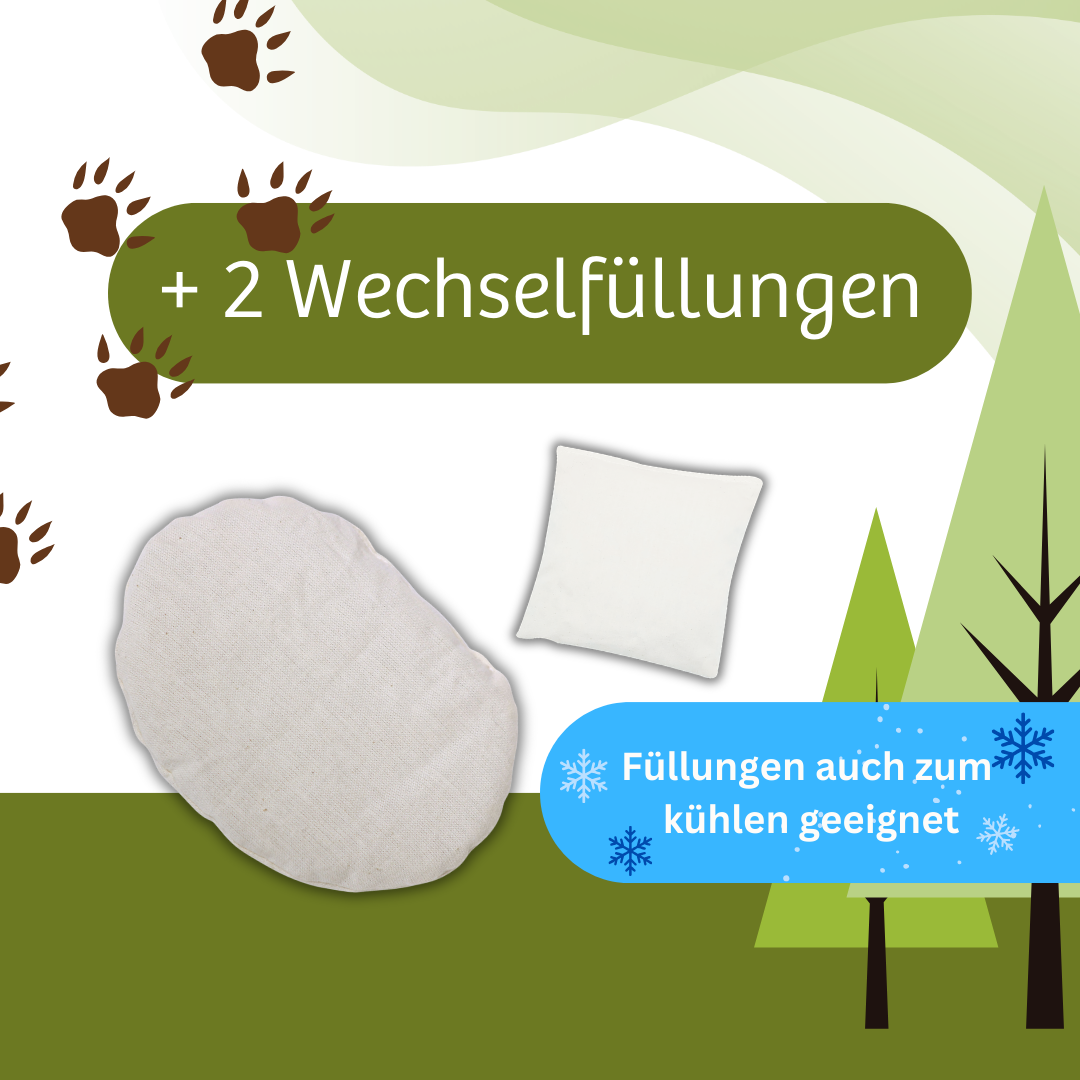 Bären Brüder 🧸🧒