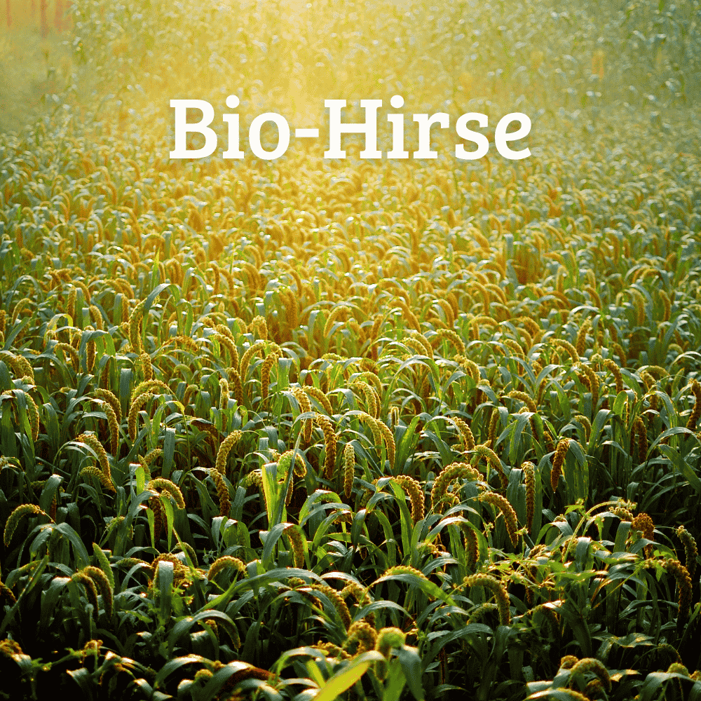 Natürliche Füllung für welliebellies® Wärmeprodukte