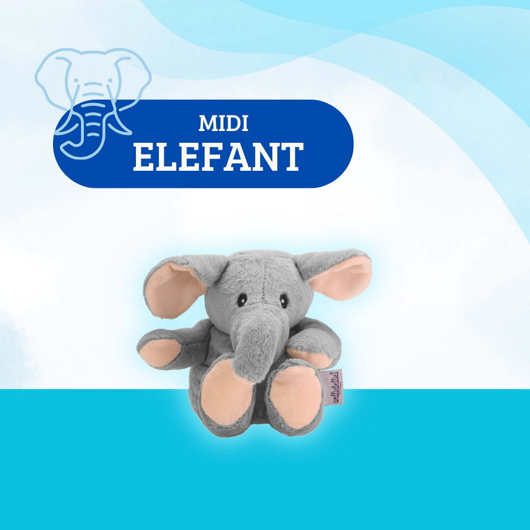 Trunk friends 🐘❤️