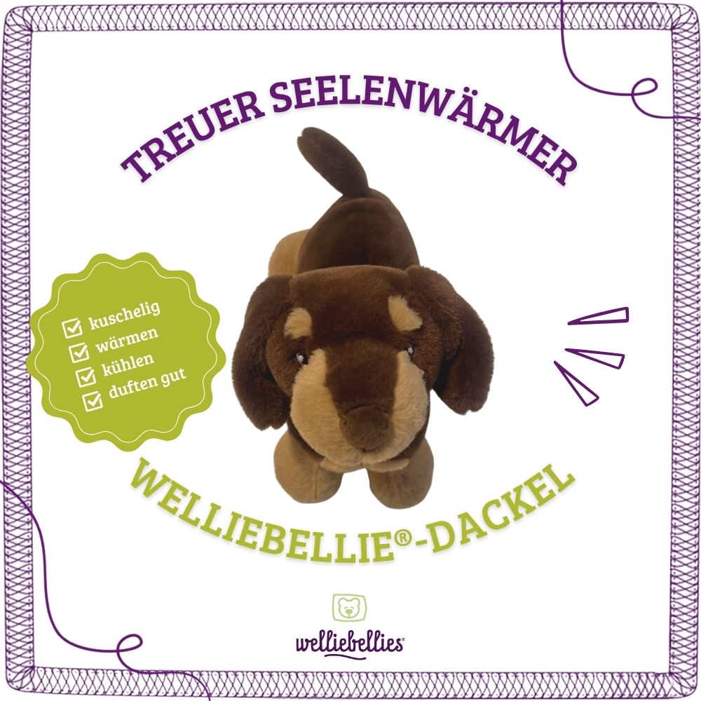 Dinosaur warming cuddly toy